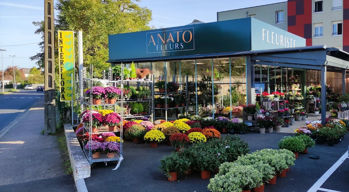 🌼AUX ROSES - ANATO FLEURS
