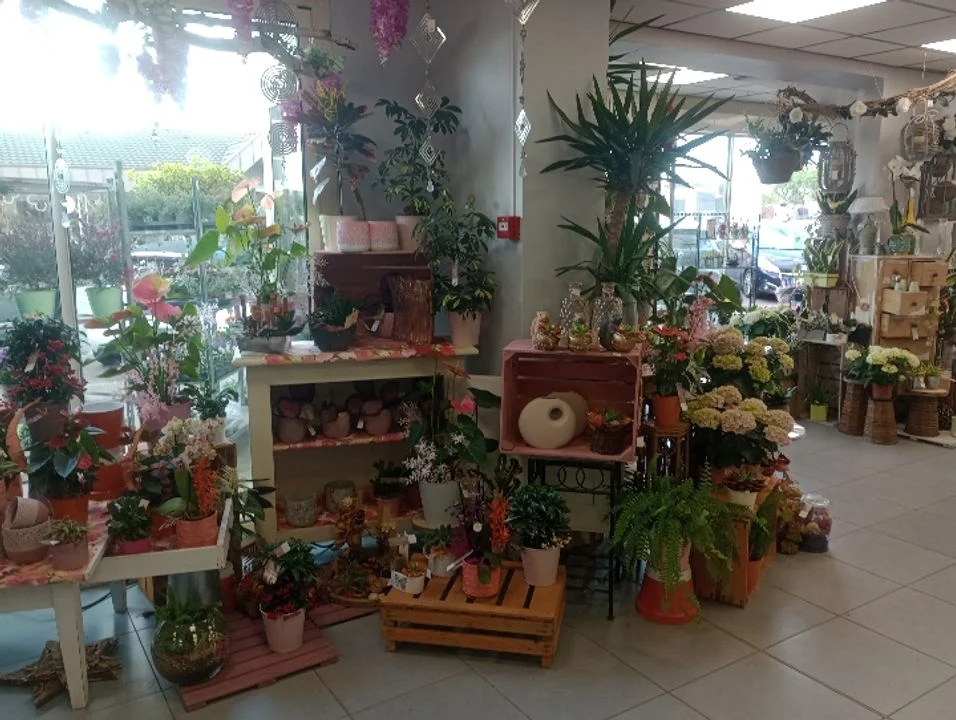 Famille Touchard - Fleuriste - 3
