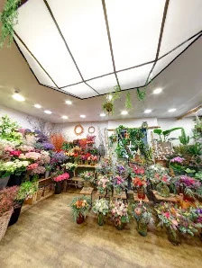 Fanny fleurs Alençon - 2