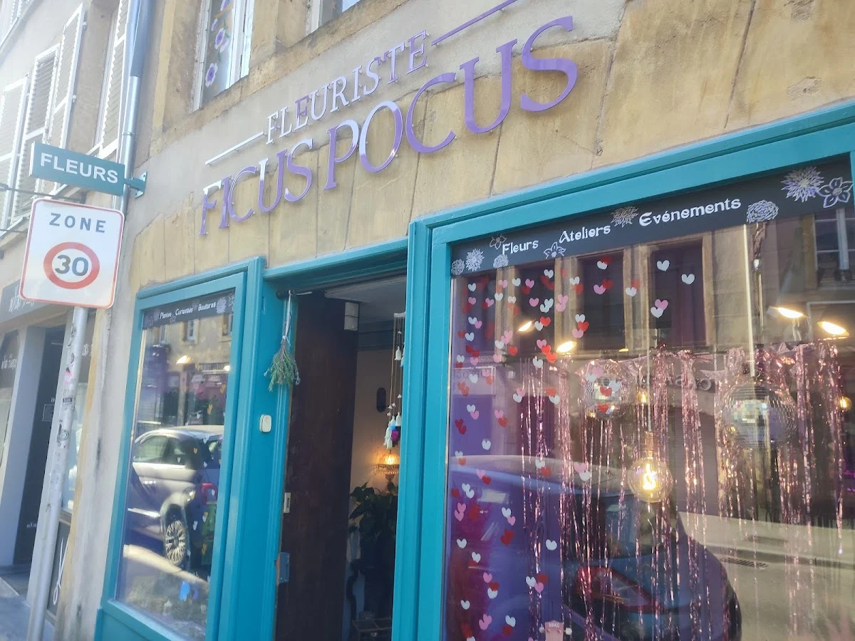 Ficus Pocus - 4