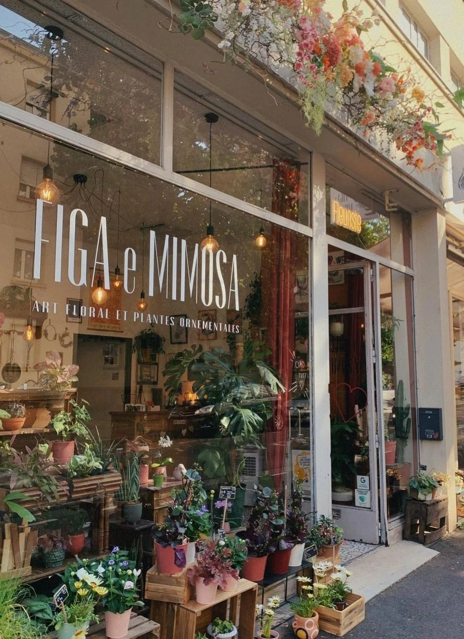 Figa e Mimosa | Fleuriste Metz
