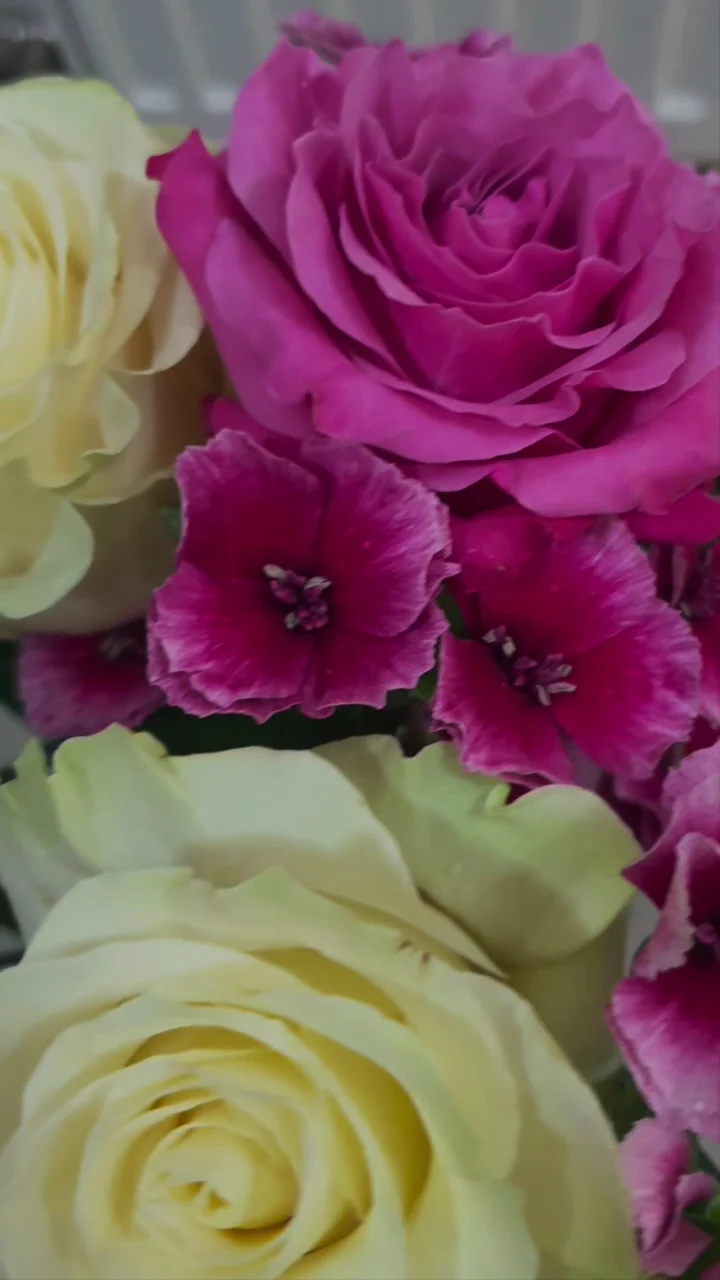 Fleur Bleue - 2