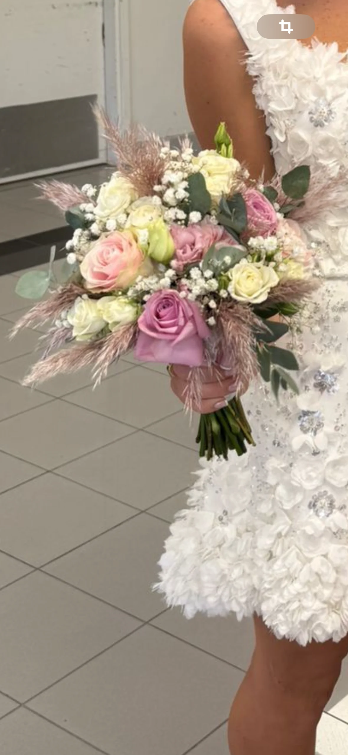 Fleur Bleue - 2