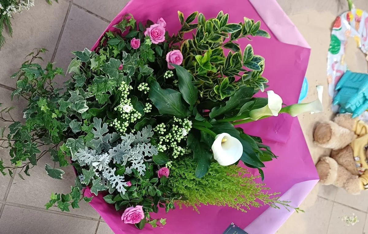 Fleur de Coton - 4