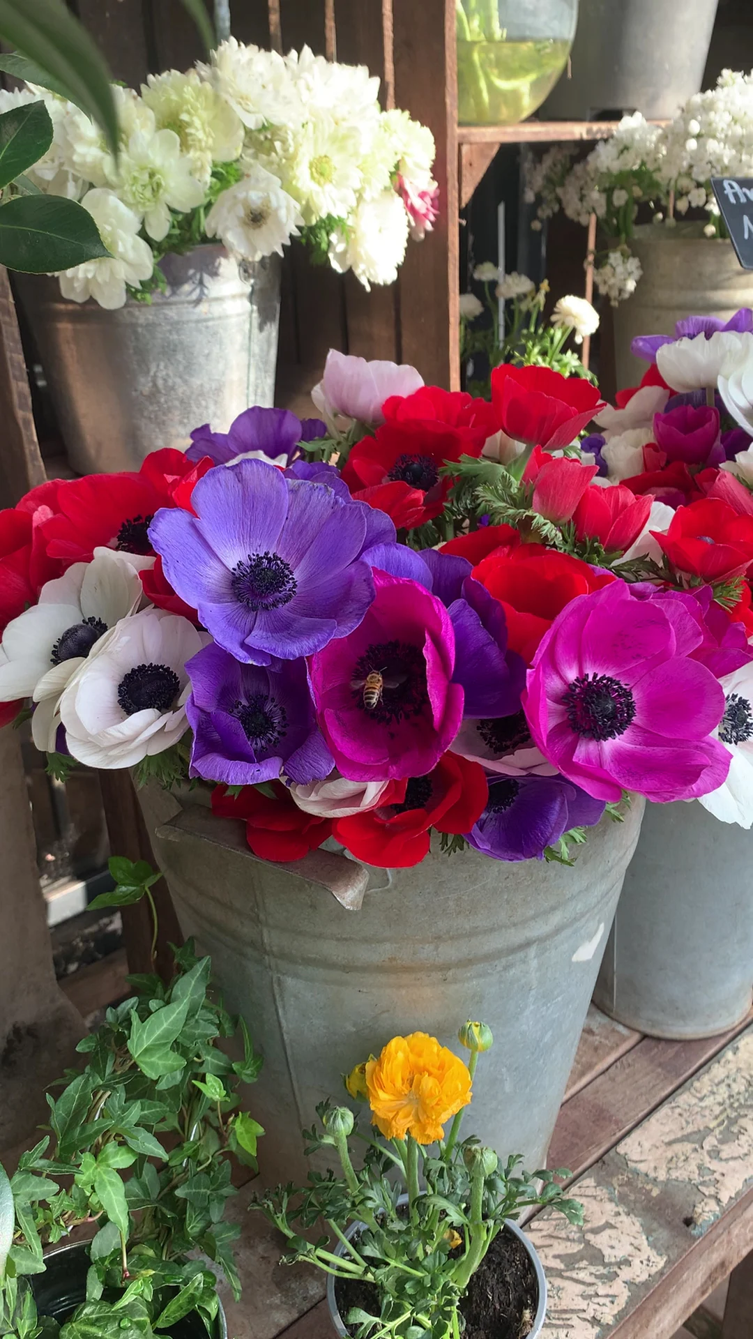 Fleur de Nuit | Fleuriste Paris - 3