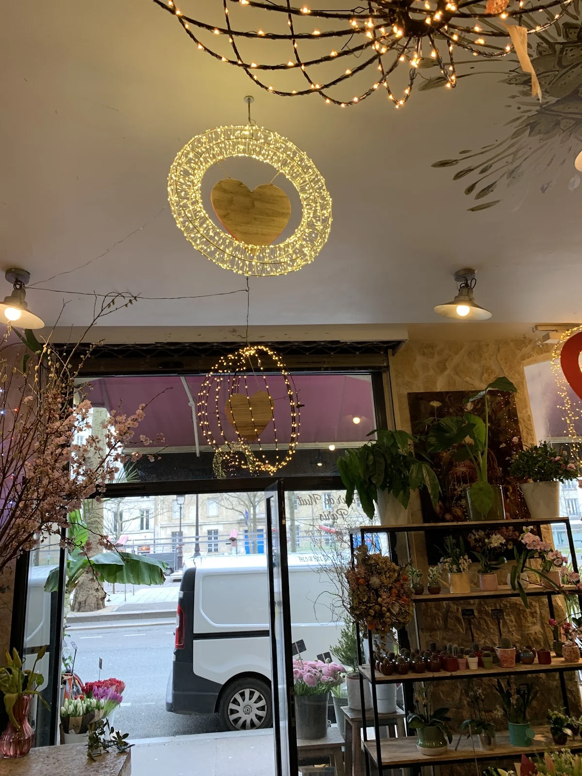 Fleur de Nuit | Fleuriste Paris - 4