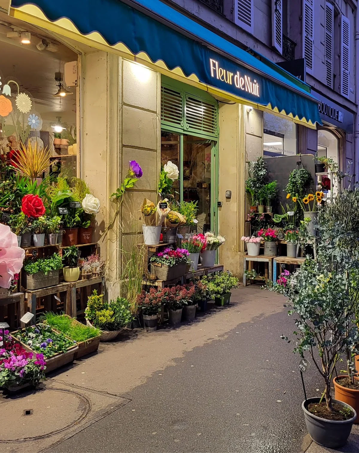 Fleur de Nuit | Fleuriste Paris - 7