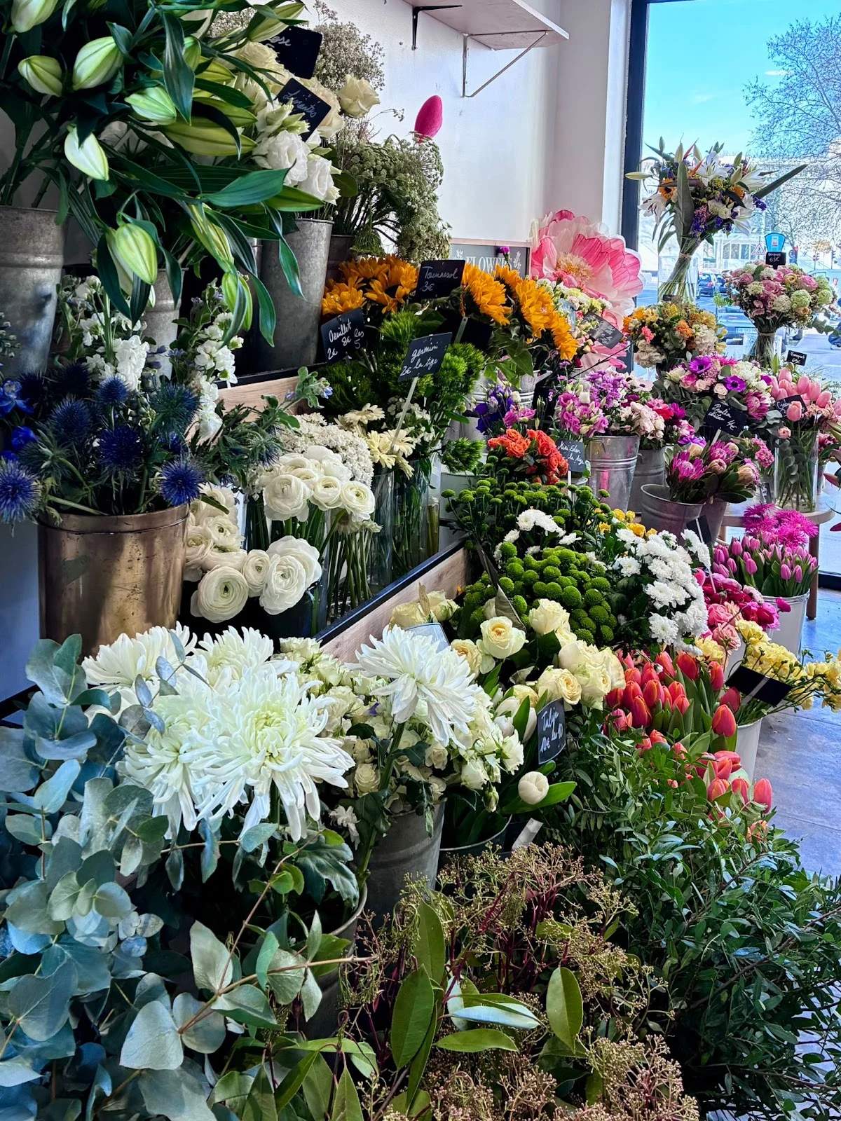 Fleur de nuit