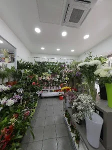 Fleur O'Mediterranée | Fleuriste Marseille - 6