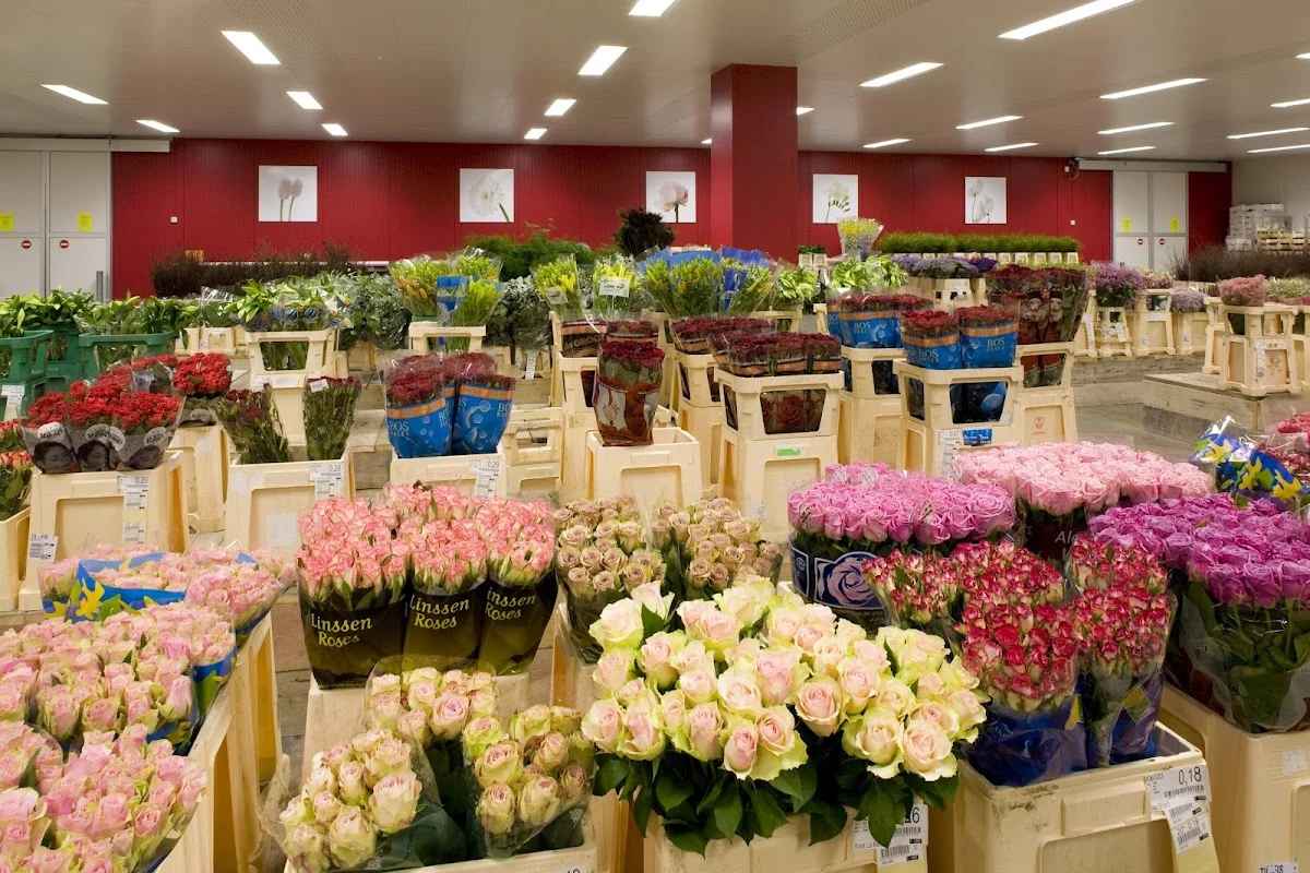 FleuraMetz Rennes