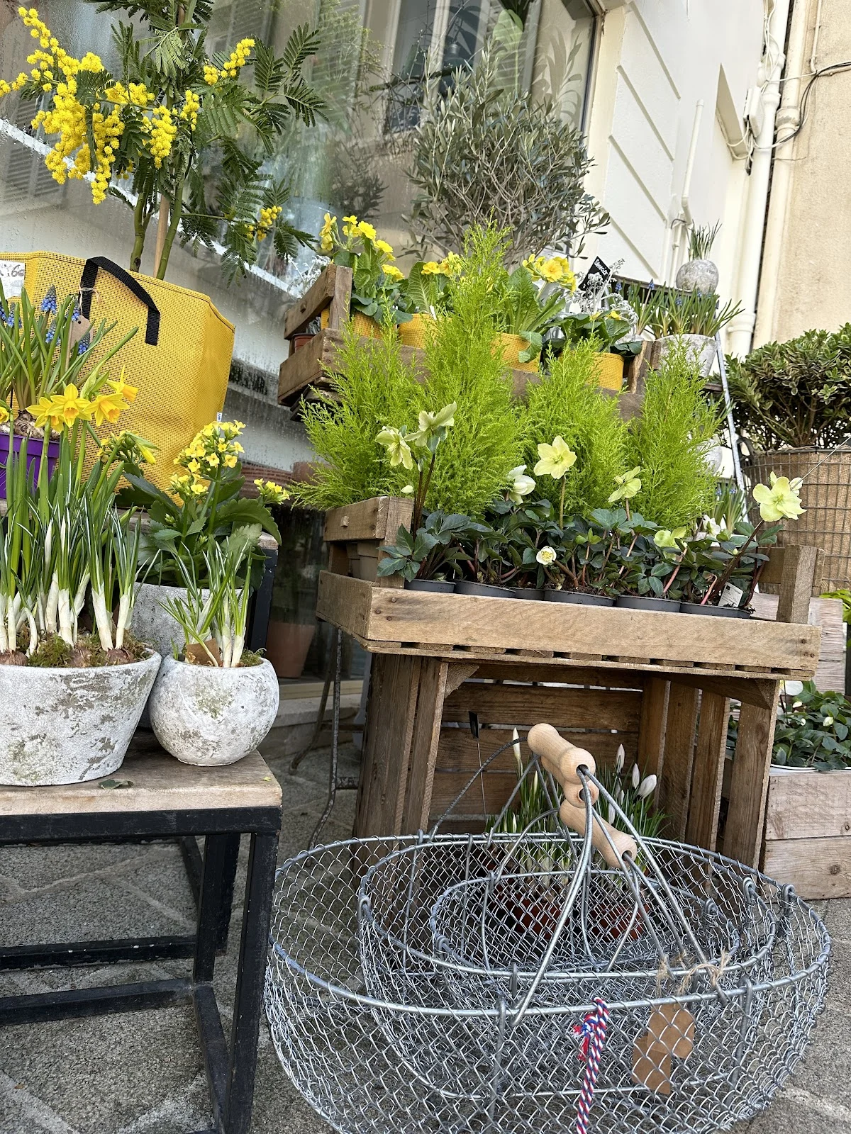 Fleuriste à Orsay - Sauvaje