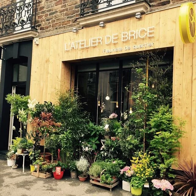 Fleuriste de quartier | L'Atelier de Brice - 5
