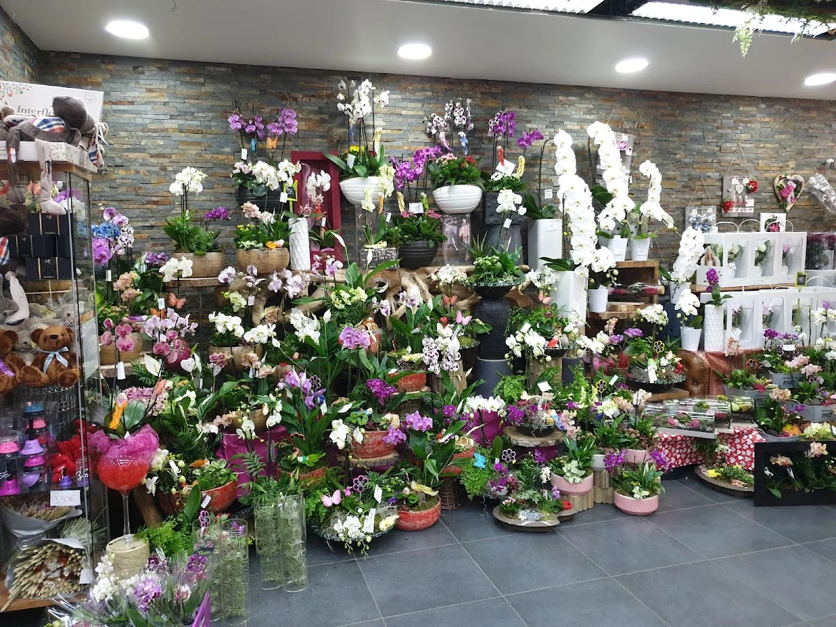 Fleuriste Goussainville Les Fleurs de L'Olympe - 4