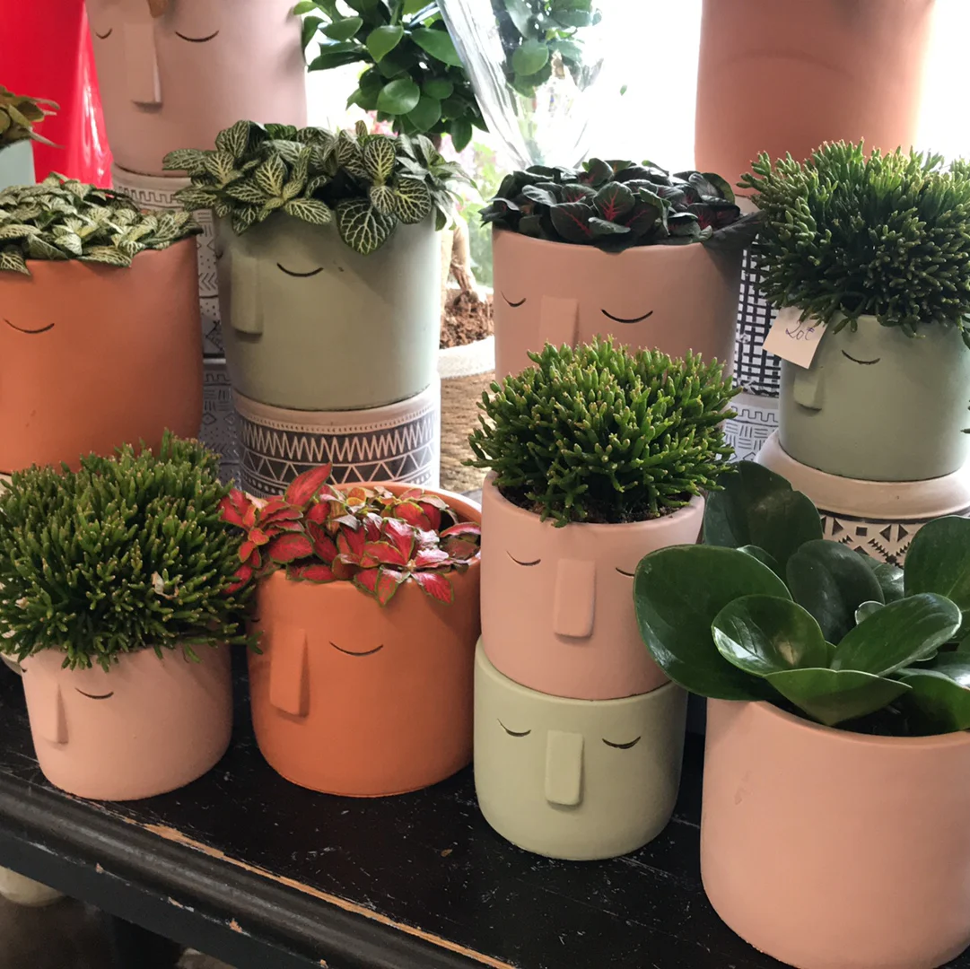 Fleuriste ioli Fleurs Maître Artisan Limeil-Brévannes, Valenton, Uber eats, Interflora, Boissy-Saint-Léger - 3