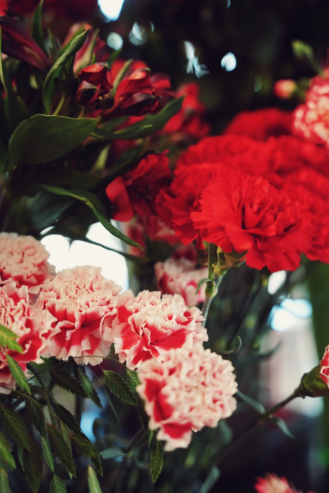 Fleuriste ioli Fleurs Maître Artisan Limeil-Brévannes, Valenton, Uber eats, Interflora, Boissy-Saint-Léger - 4