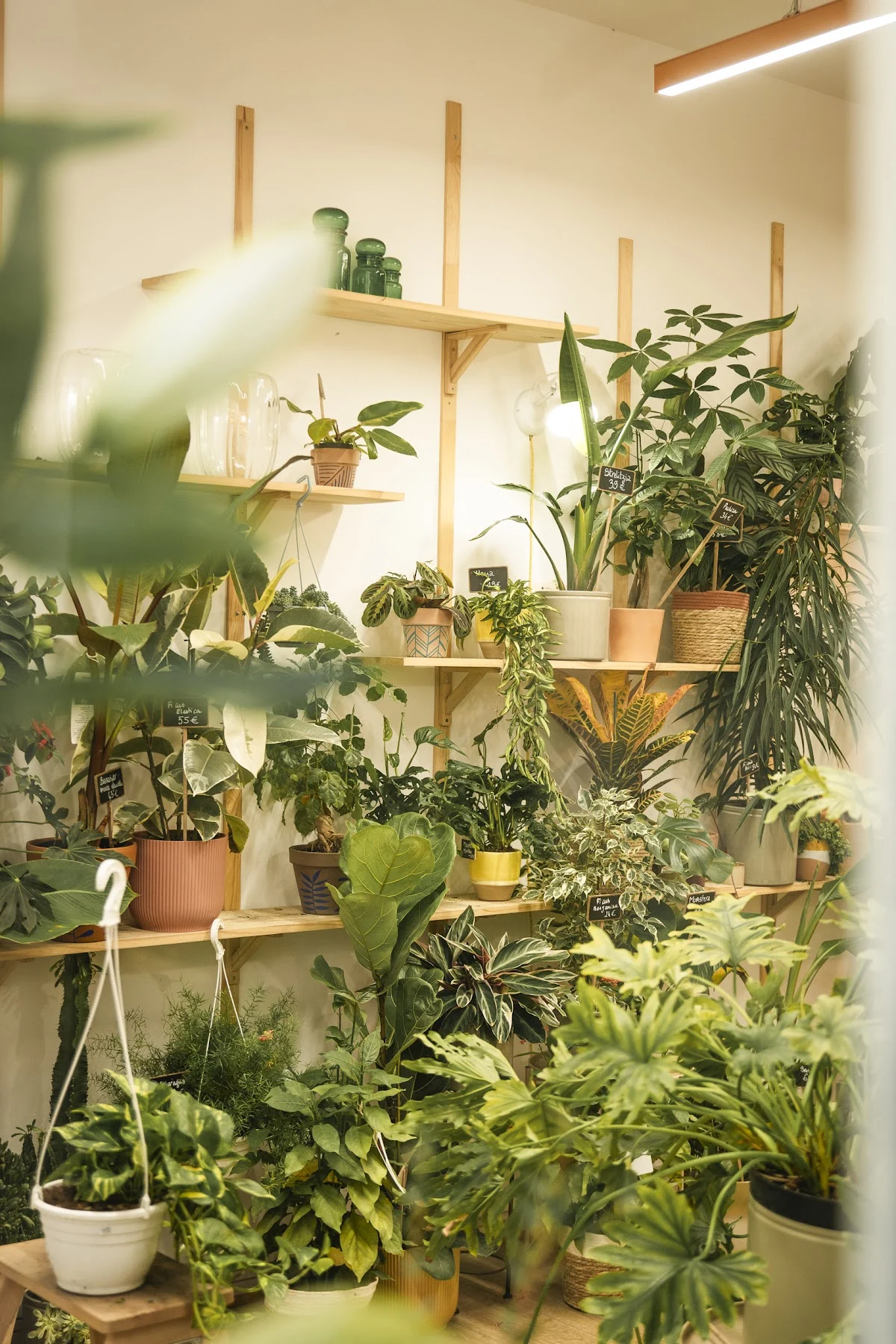 Fleuriste La Butinerie - Café fleurs - 4