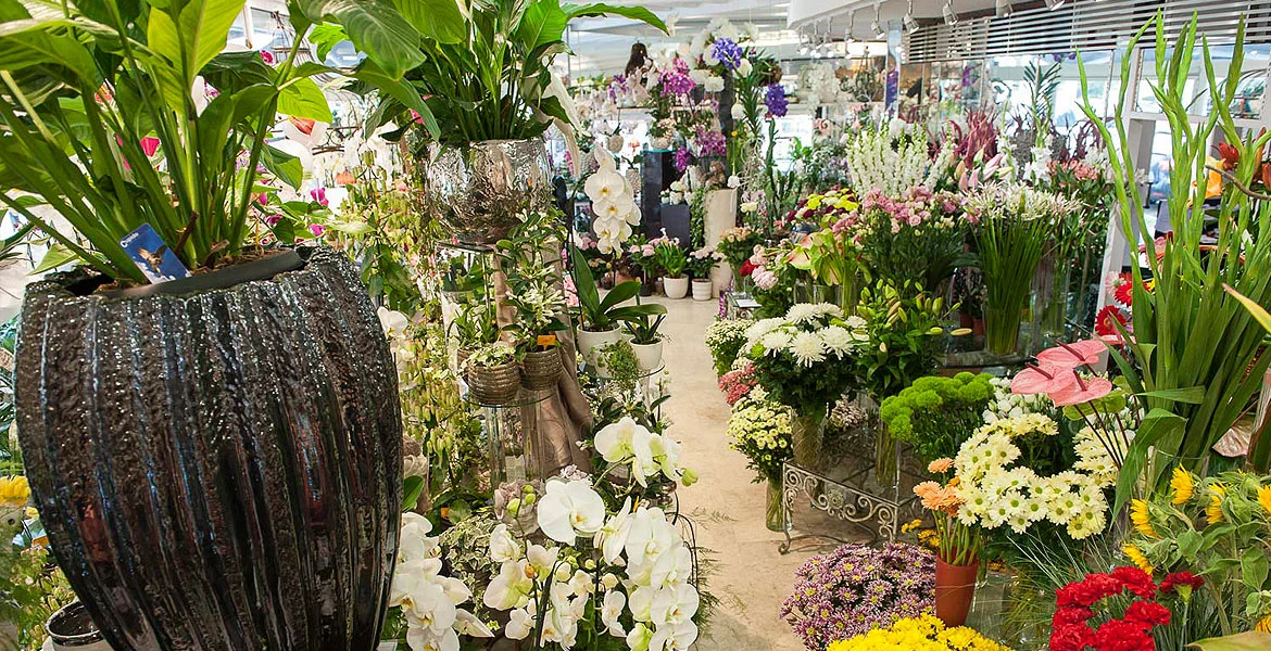 Fleuriste La Rose Rouge - Saint-Malo - 3