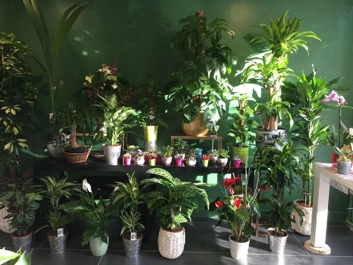 Fleuriste Le Liseron - 3