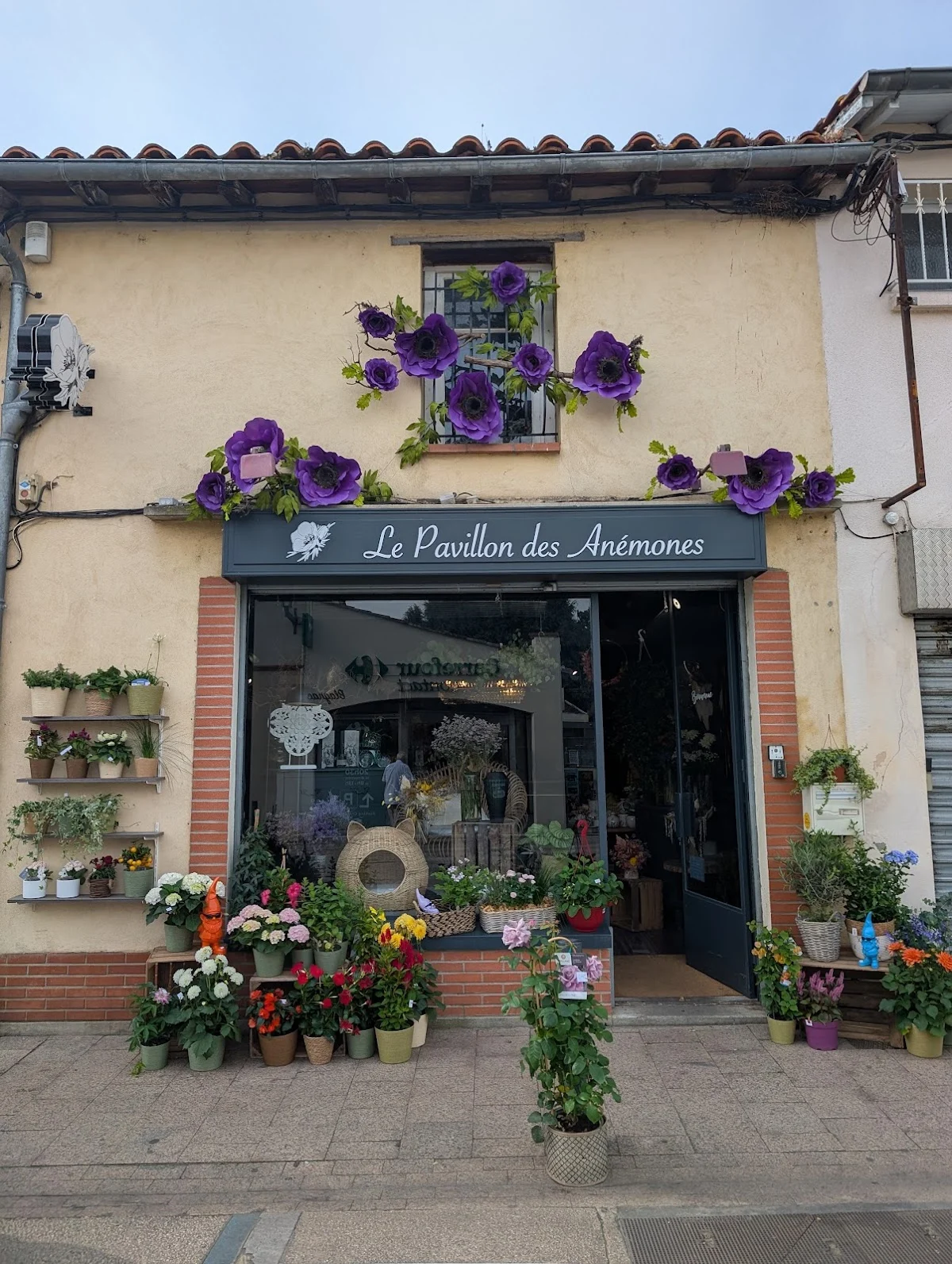 Fleuriste - Le pavillon des anémones