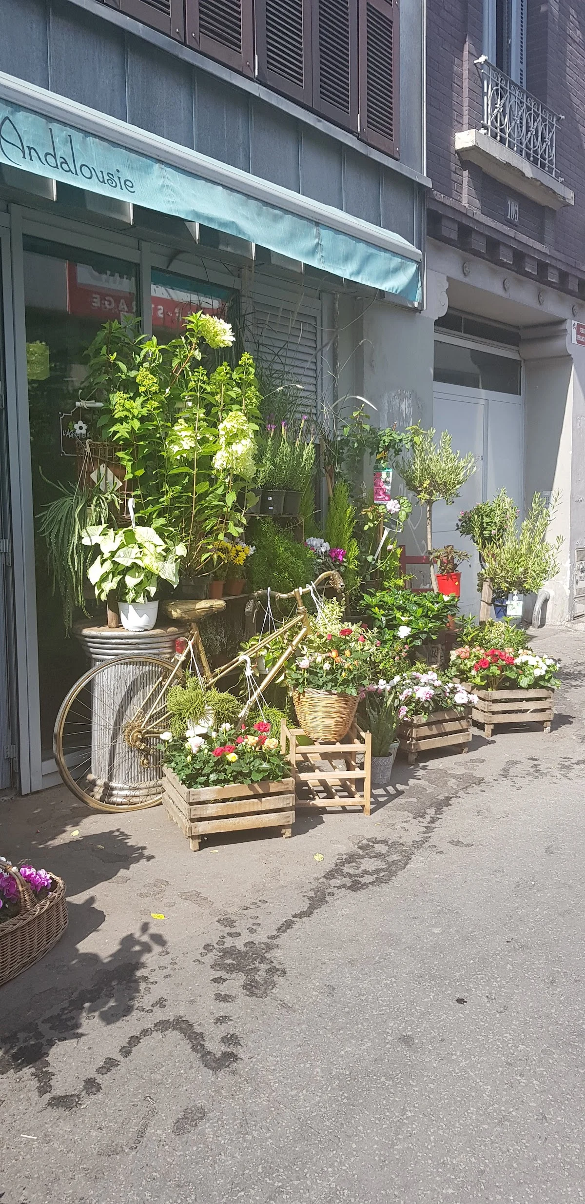 Fleuriste Les Jasmins d'Andalousie, Paris 18 ème - 5