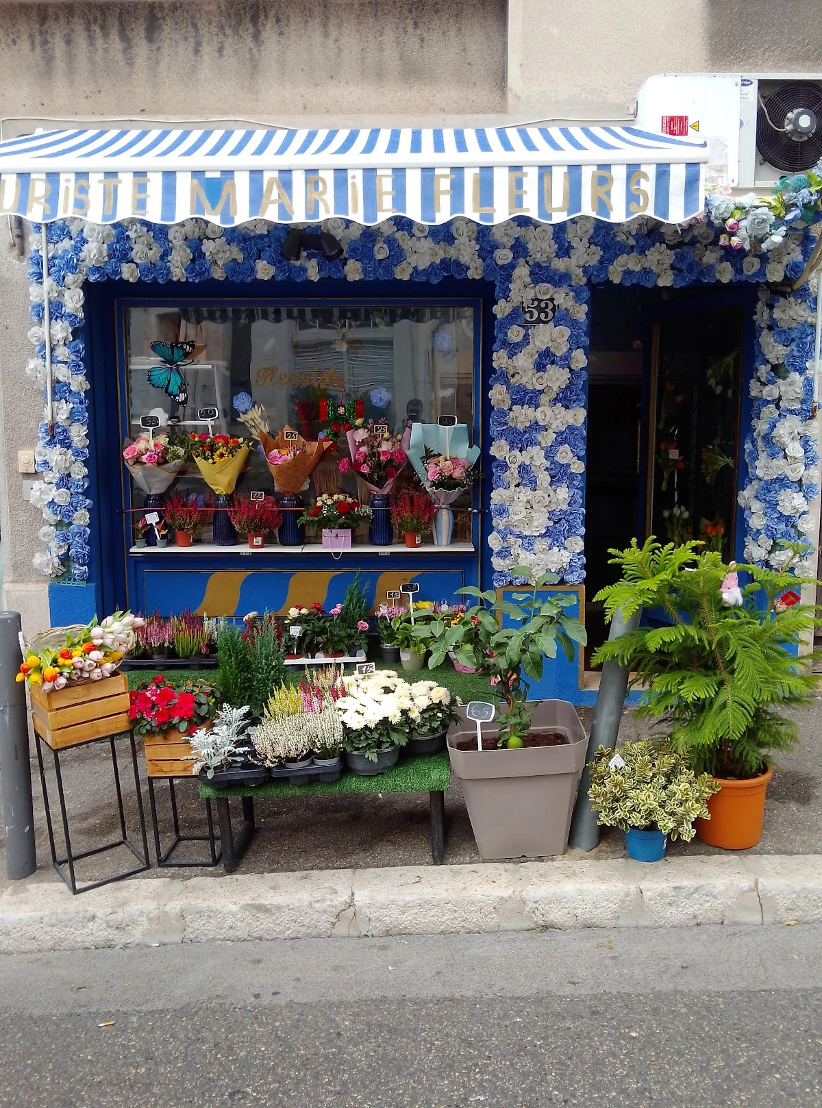 Fleuriste Marie Fleurs