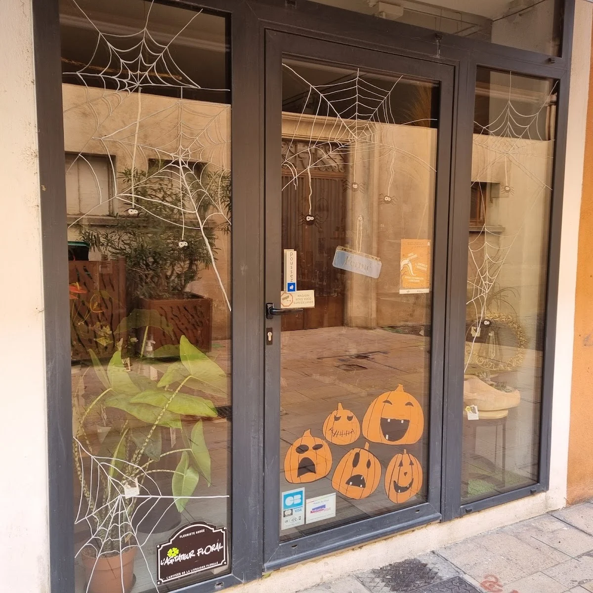 Fleuriste Montélimar - Casaflore - 2