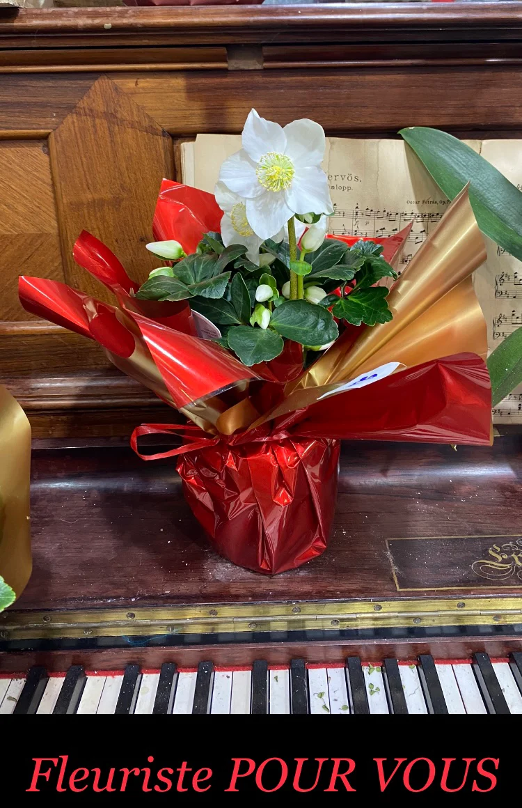 Fleuriste Pour Vous - 3