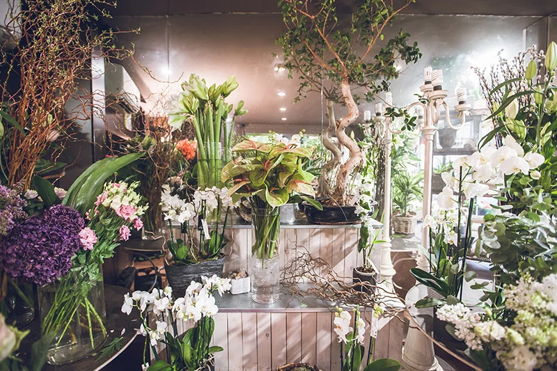 FLEURISTE RACONNAT - 3