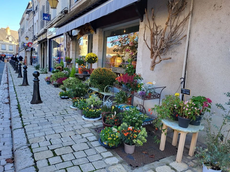 Fleuriste Seconde Nature | Fleuriste Beaugency - 5