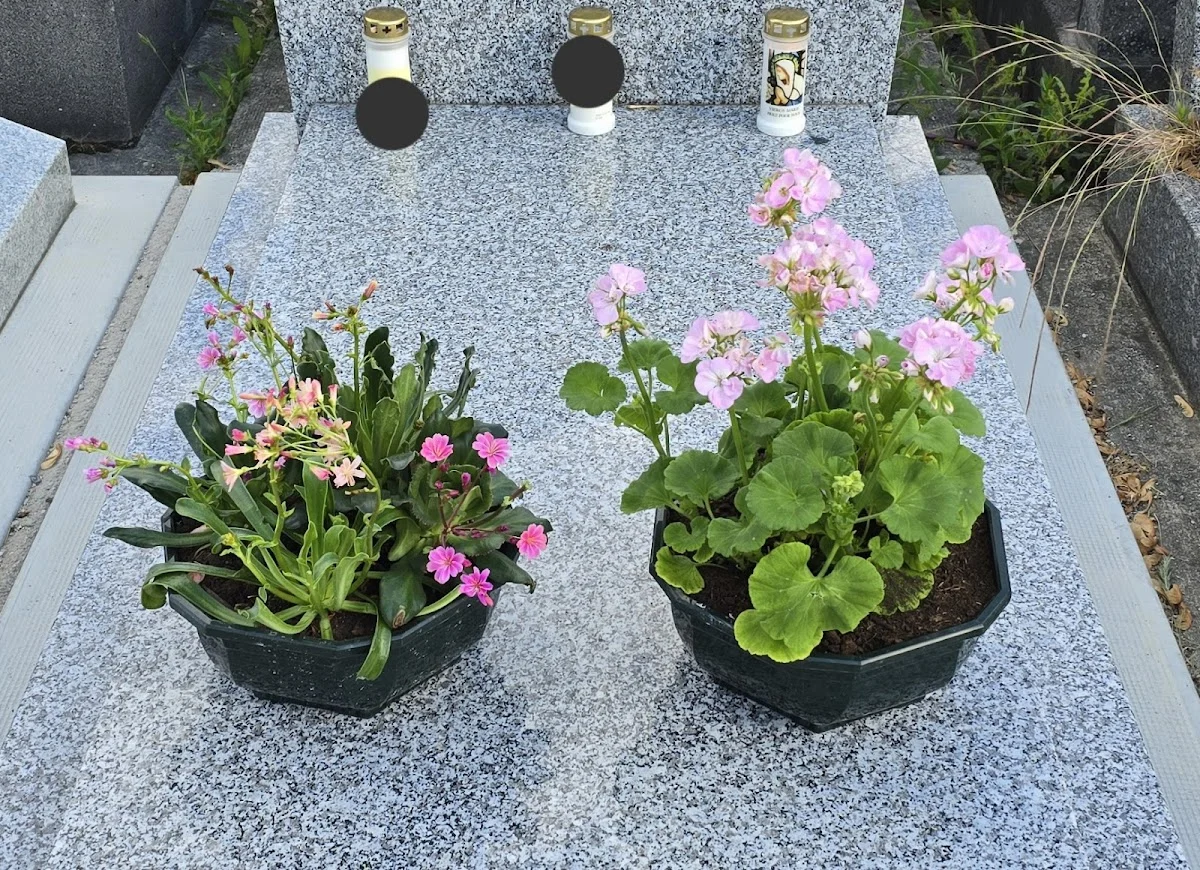 Fleuriste Vert Pré - 3