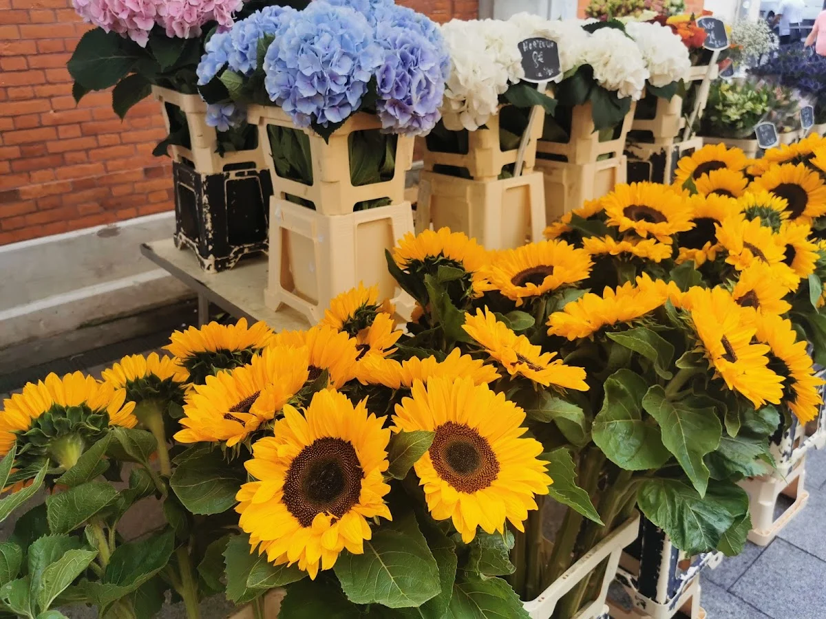 FLEURISTE XABY