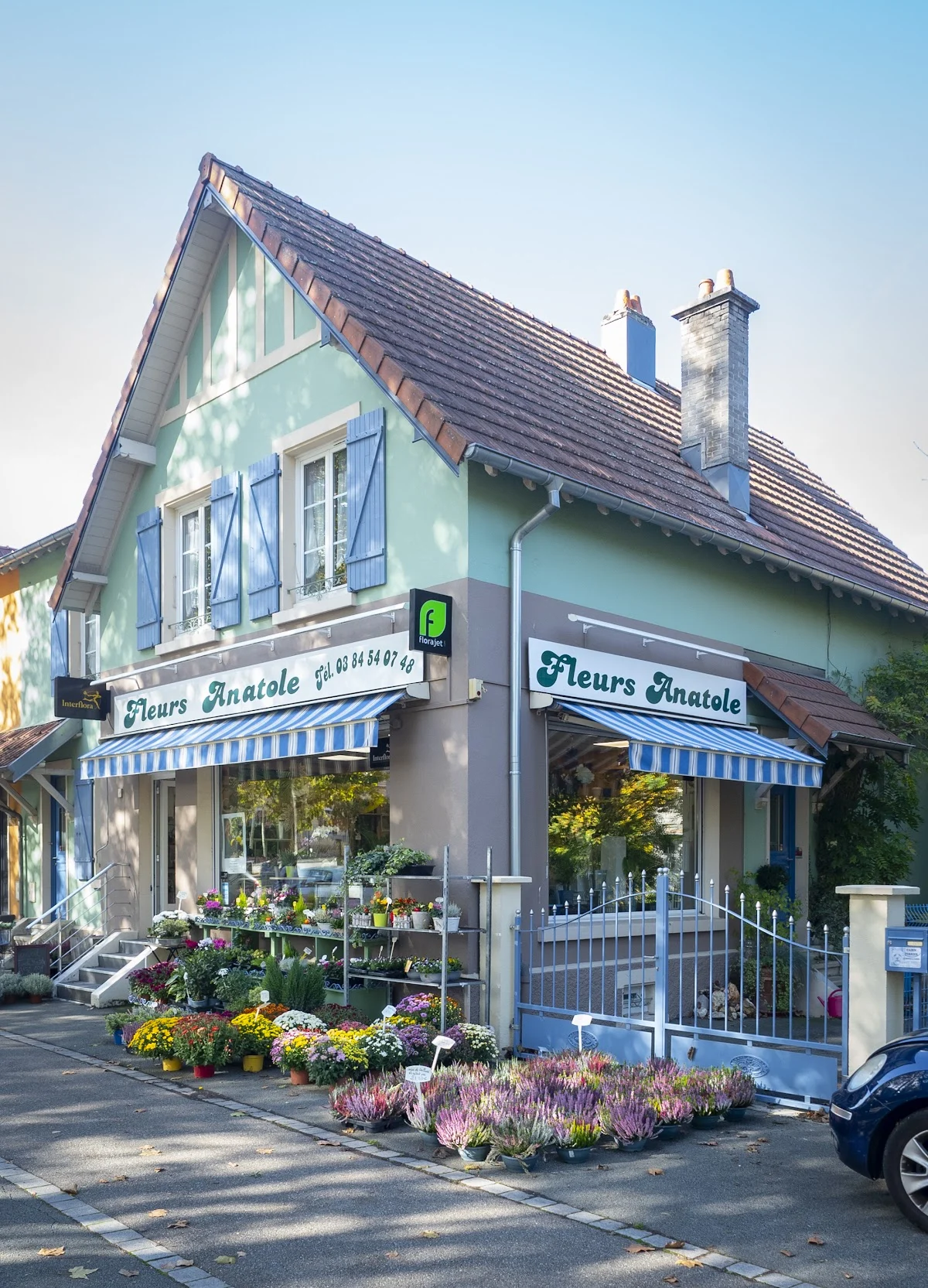 FLEURS ANATOLE