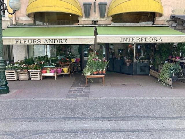 Fleurs André - 4