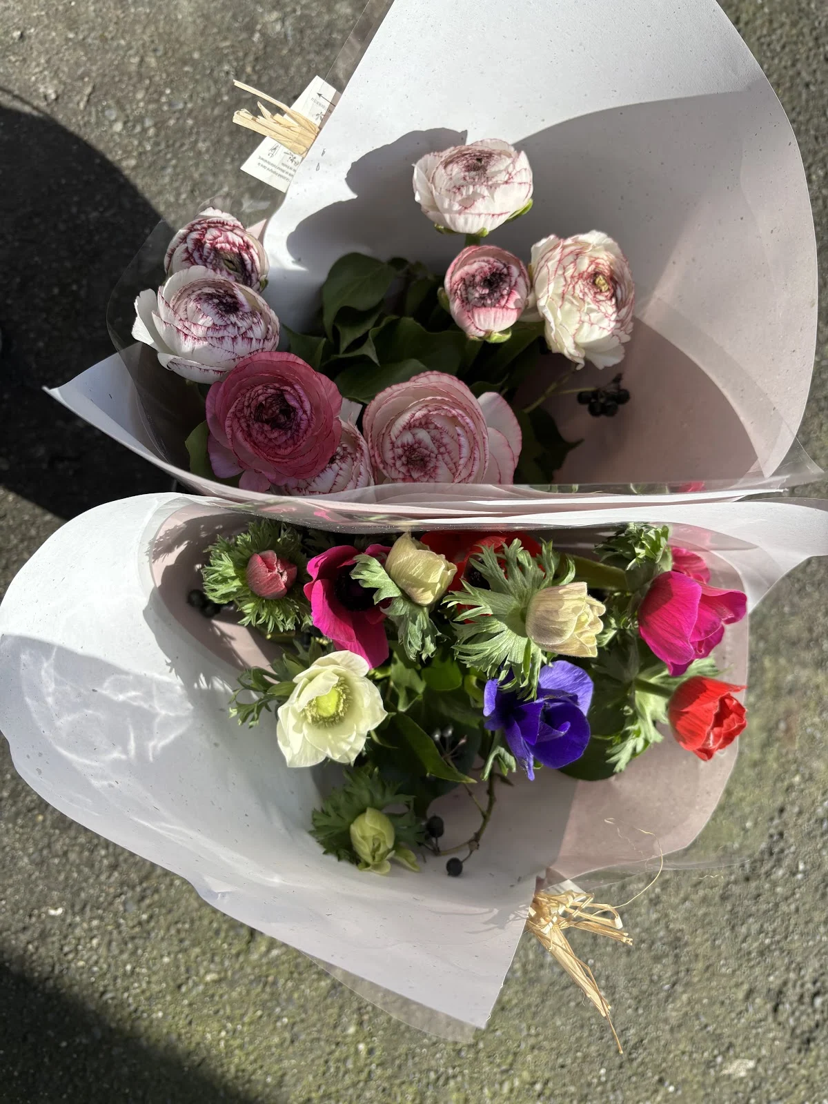 Fleurs, Arômes et Botaniques - 4