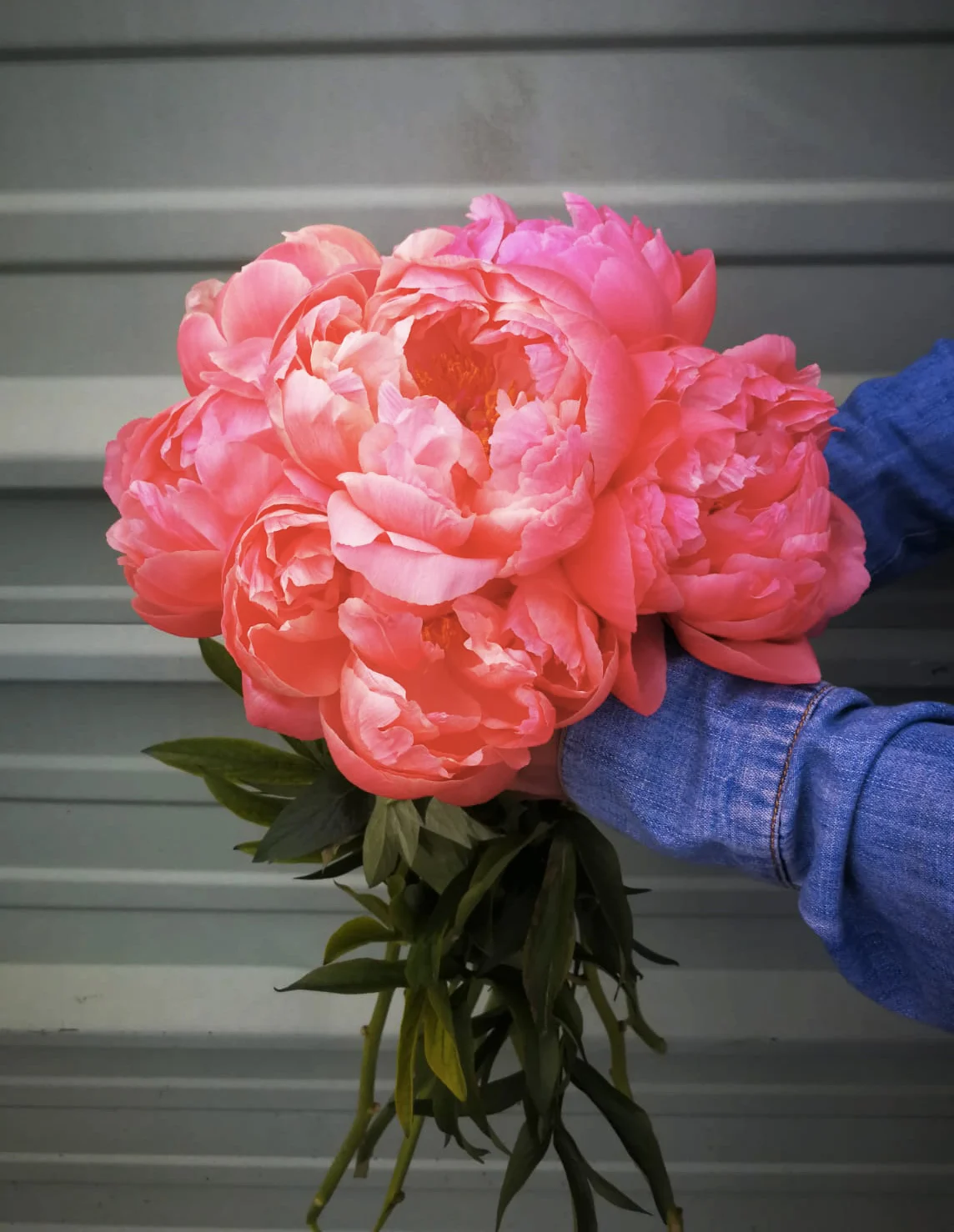 Fleurs, Arômes et Botaniques - 5