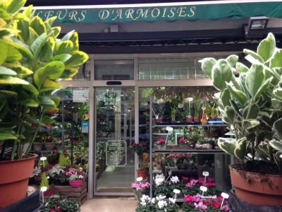 Fleurs d'Armoises