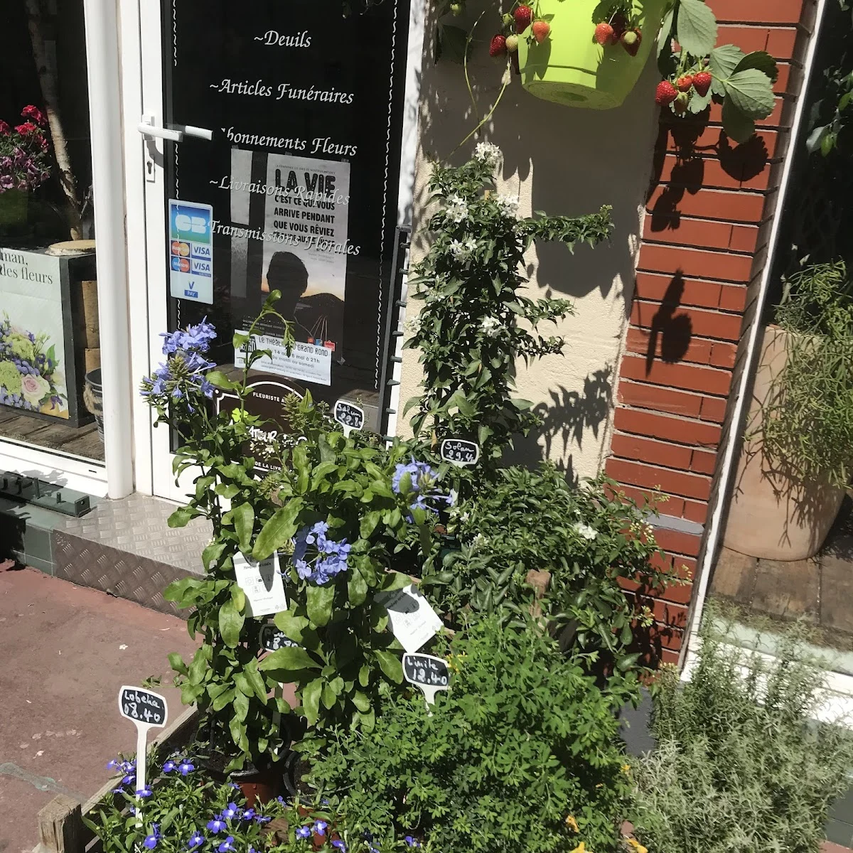 Fleurs de France - 3