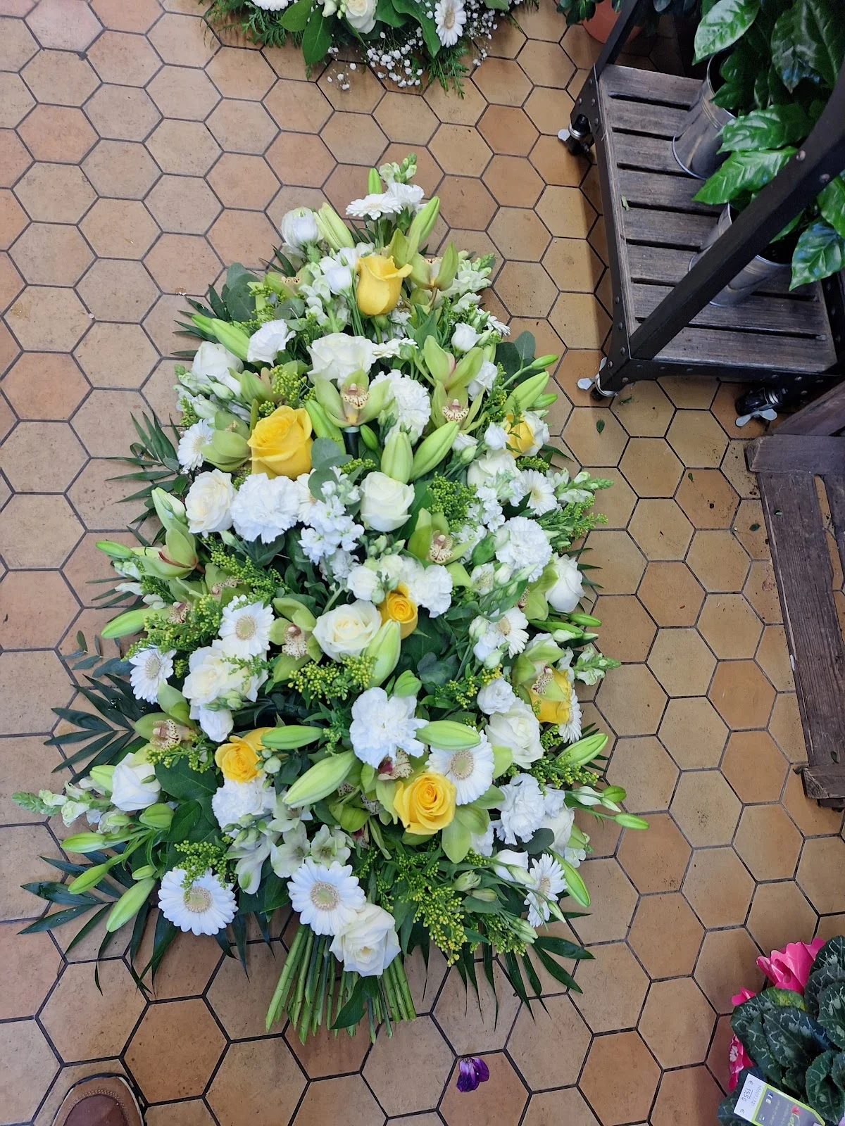 Fleurs de Lotus - 4