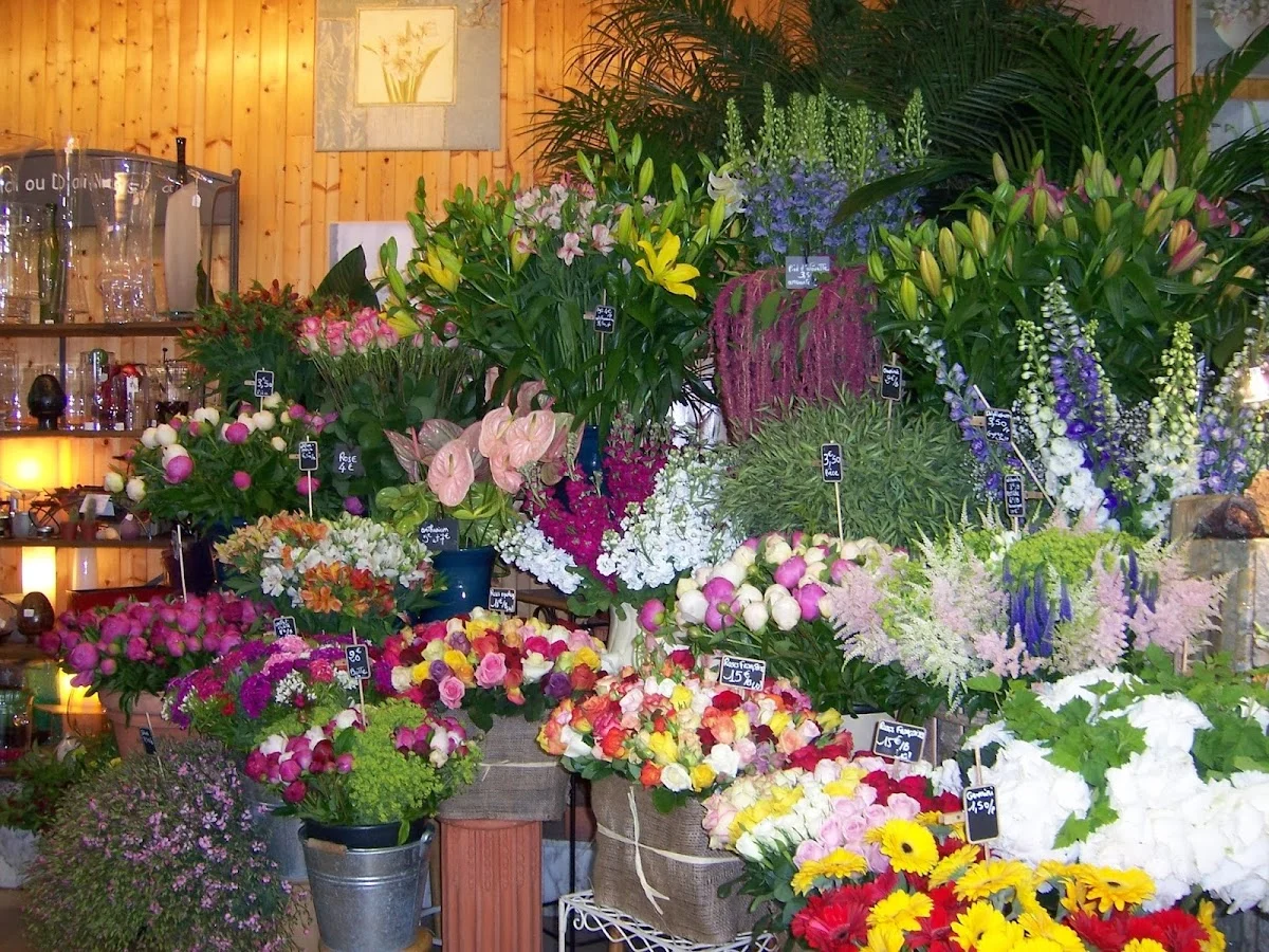 Fleurs De Lys - 3