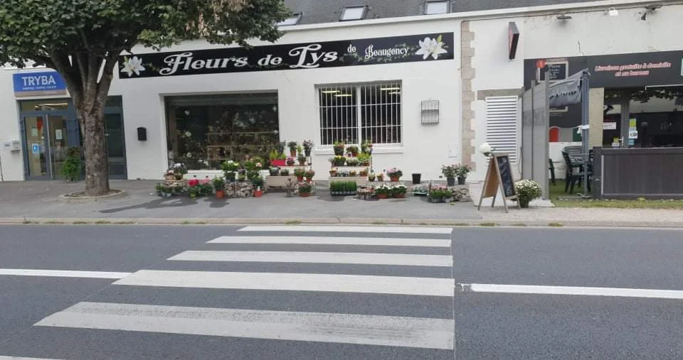 Fleurs de Lys de Beaugency - 5