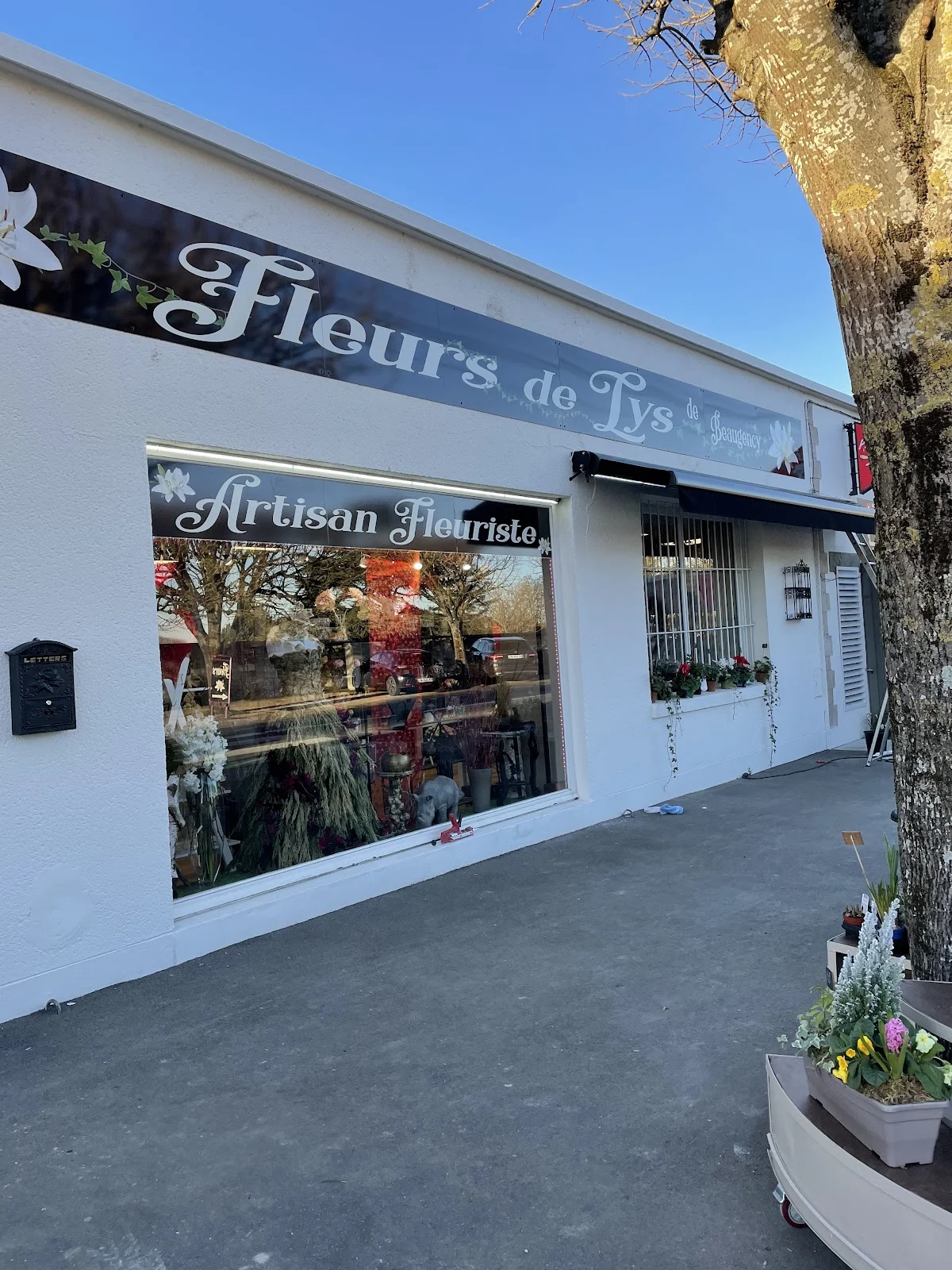 Fleurs de Lys de Beaugency