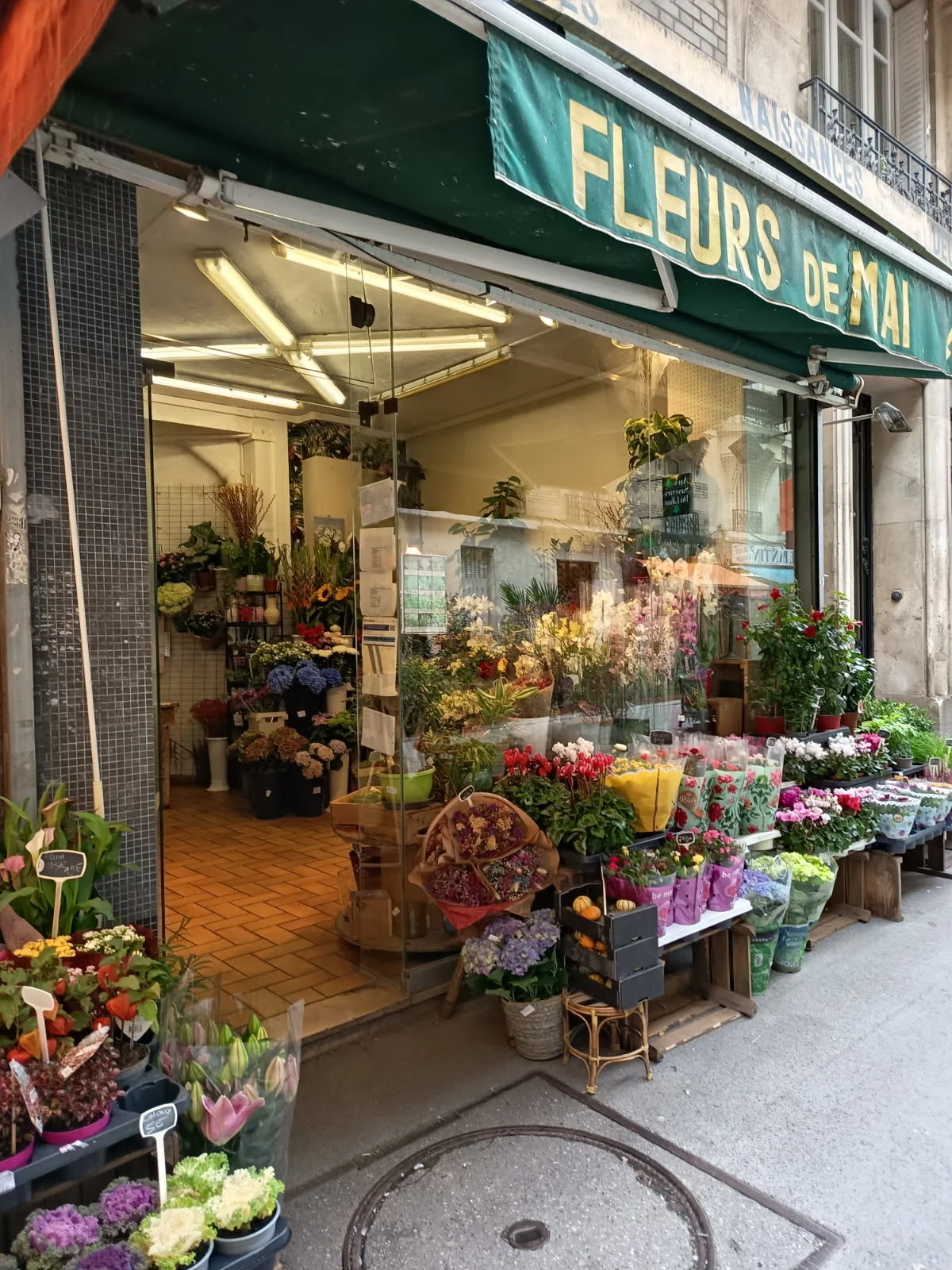 Fleurs de Mai