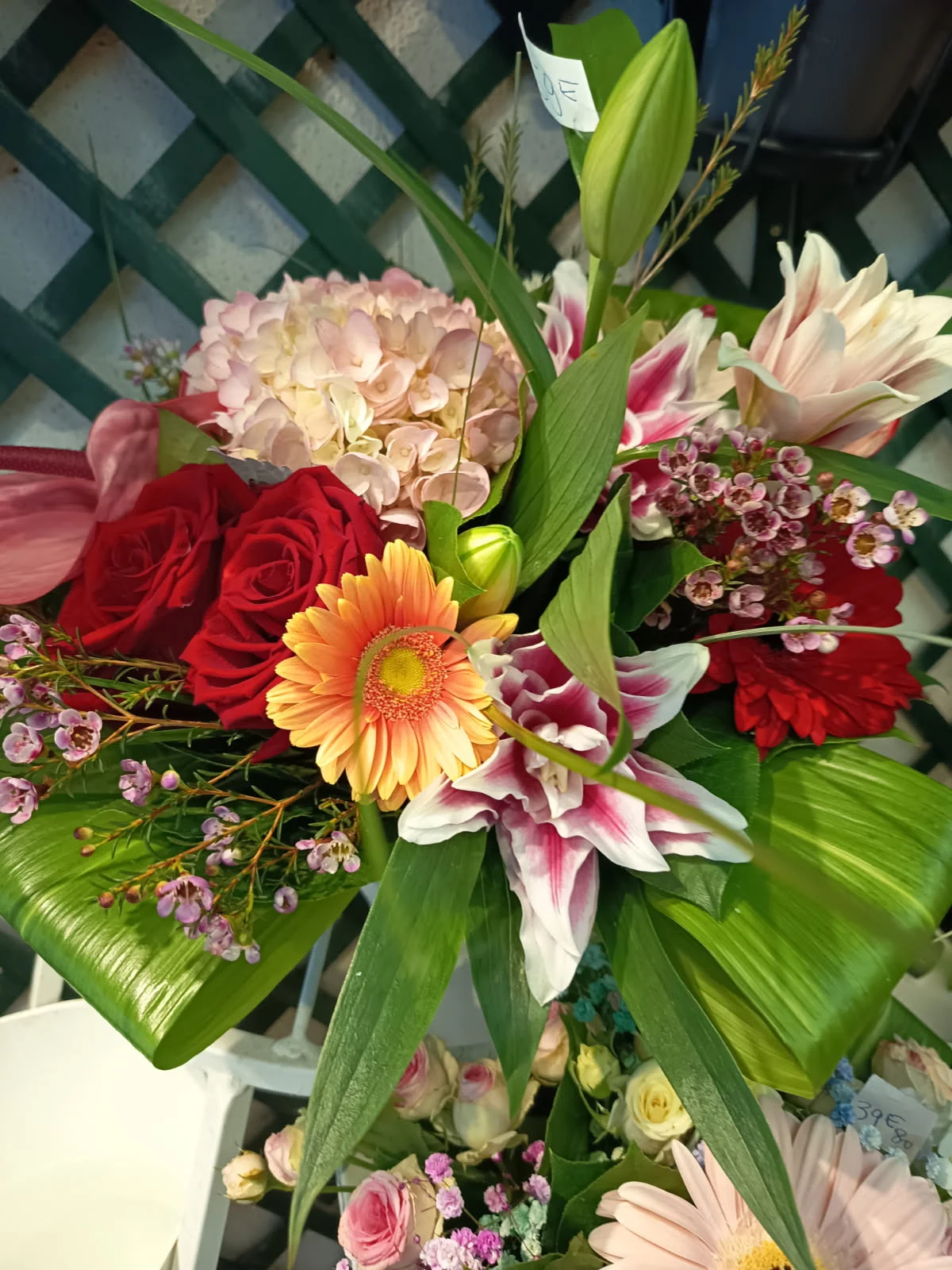 Fleurs de Mai - 3