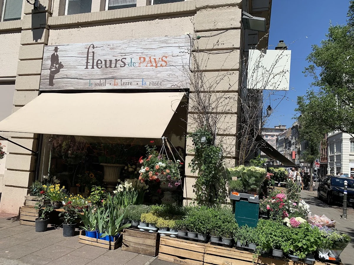 Fleurs de Pays - Fleuriste à Strasbourg - 5