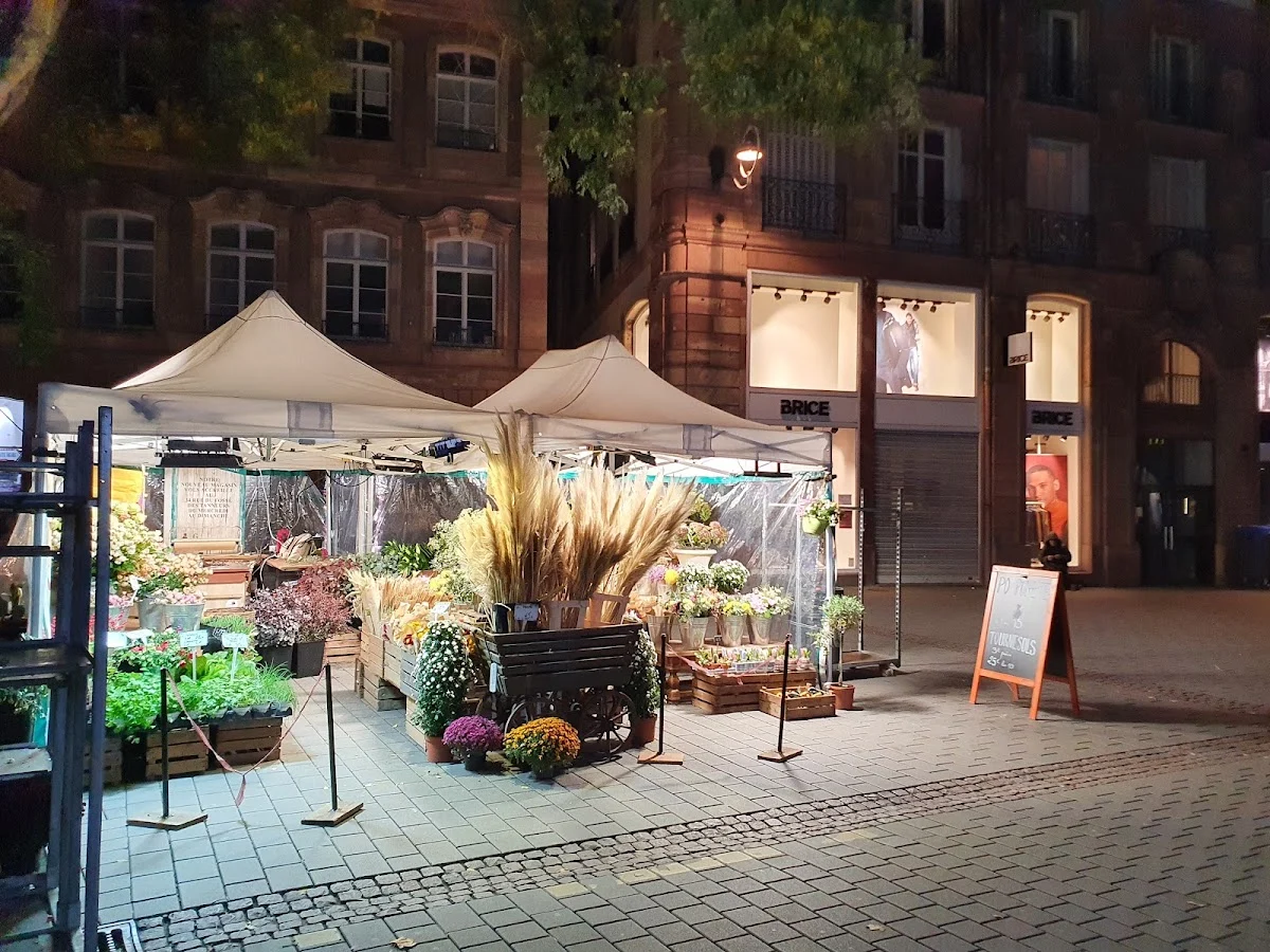 Fleurs de Pays - Fleuriste à Strasbourg - 7