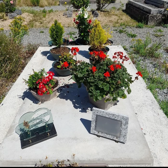 Fleurs de Saison - 2