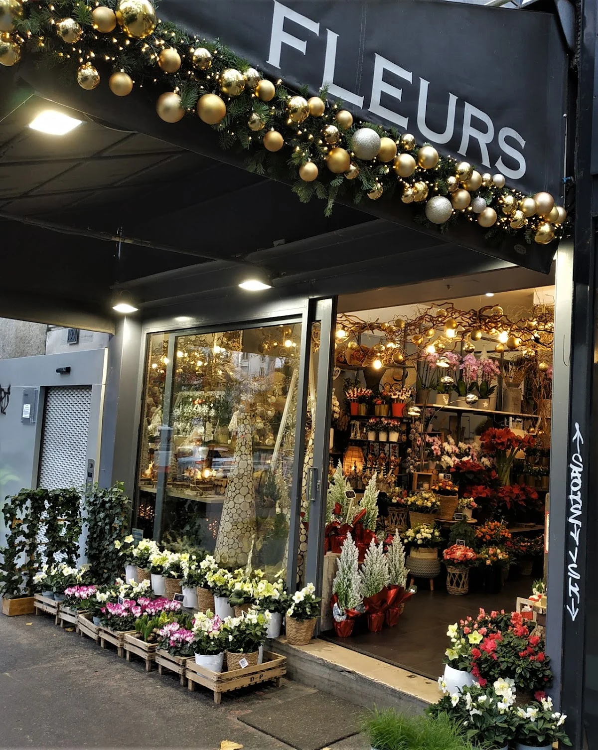 Fleurs d'Italie | Fleuriste Paris - 2