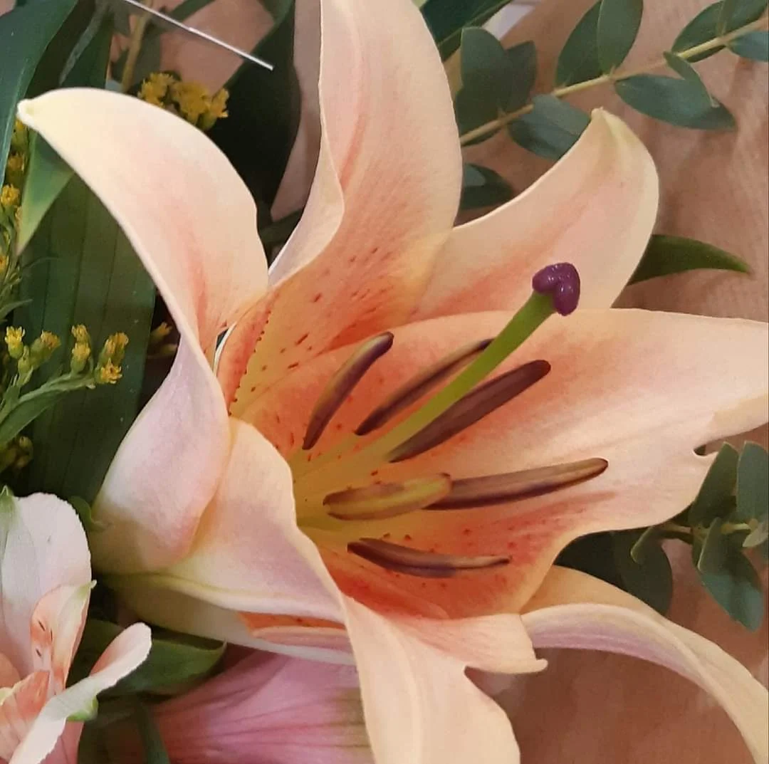 Fleurs & D'Lys Chalons - 3