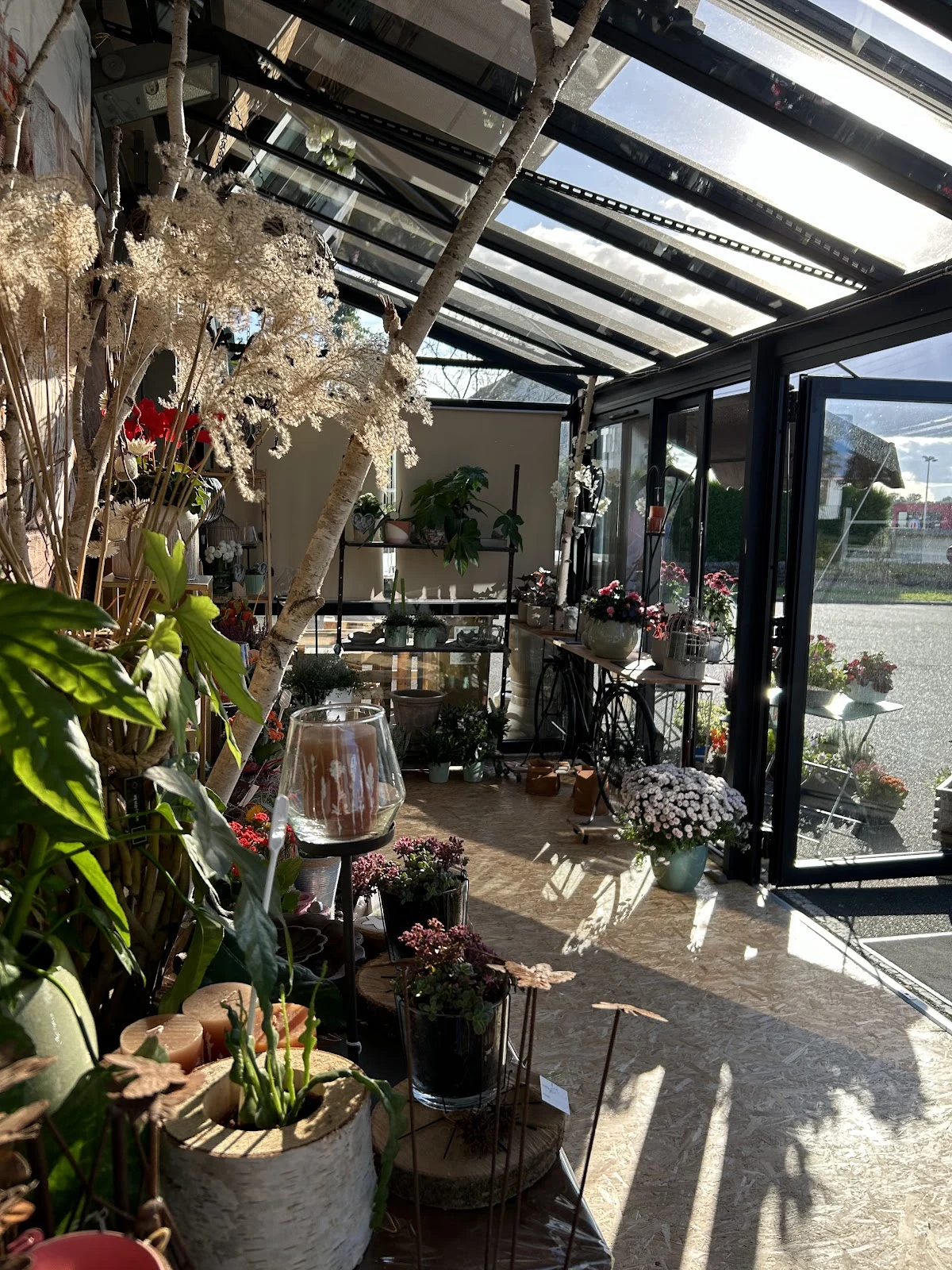 Fleurs Do' Mayenne - 2
