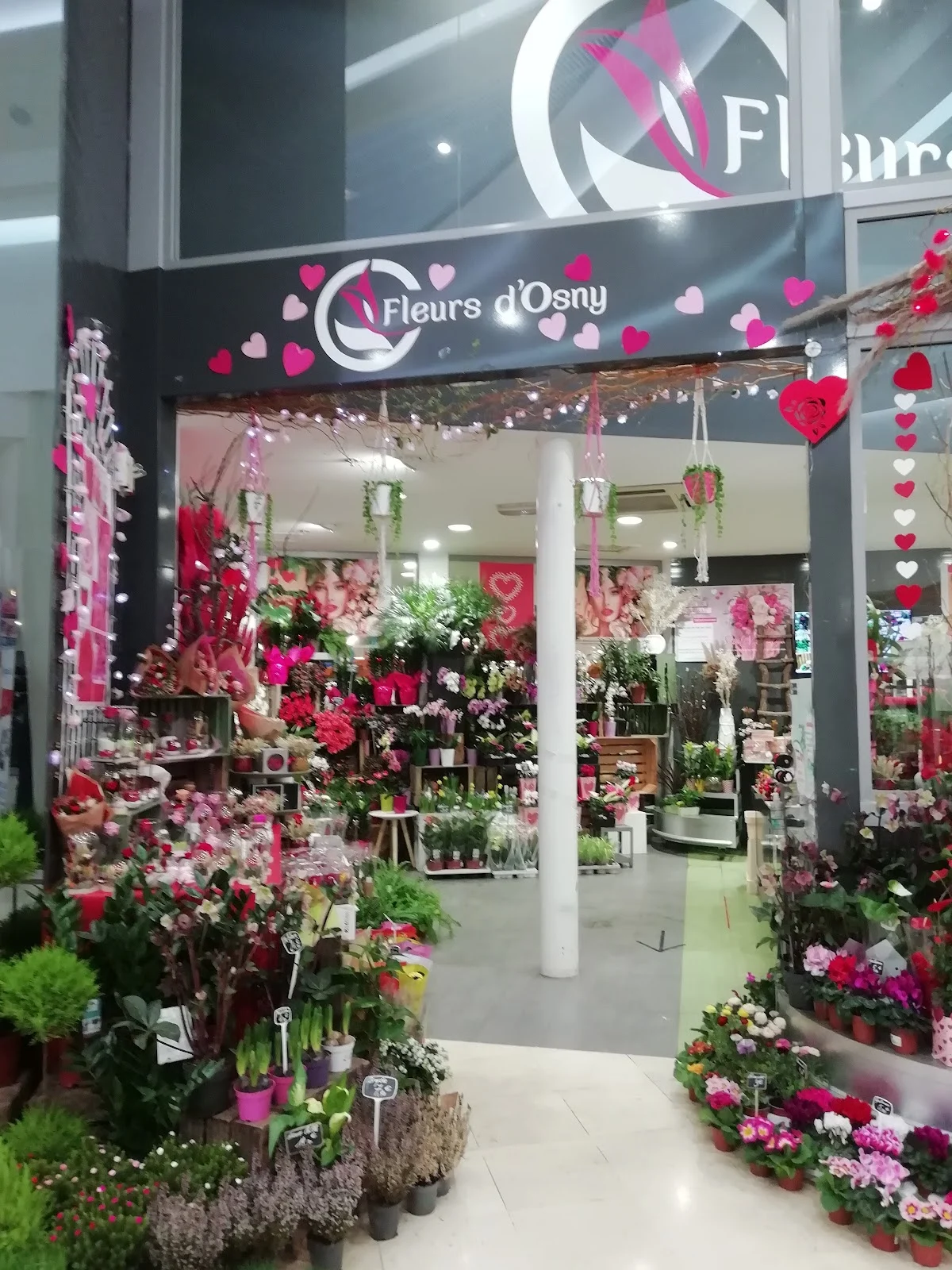 Fleurs d'Osny